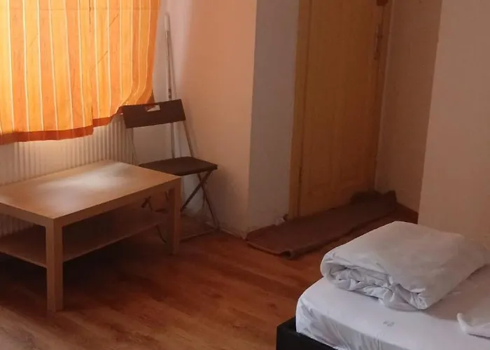 - Auberge de jeunesse