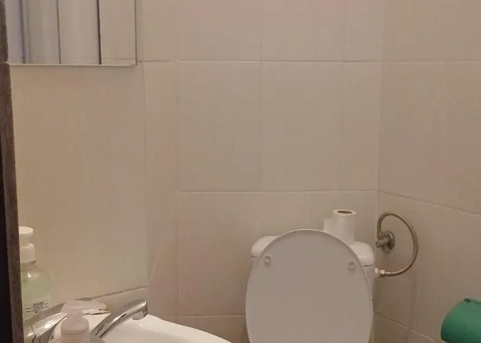 - Auberge de jeunesse Bucarest